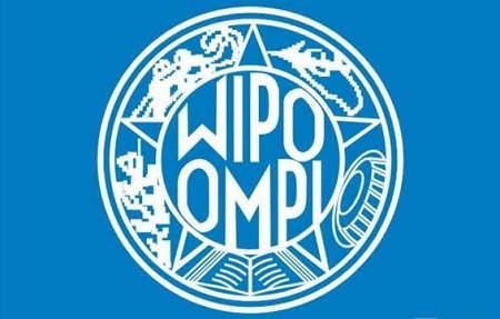 1542348636136806.jpeg 72b0f0e6f7574b9f9407ee6a161ab63a.jpeg